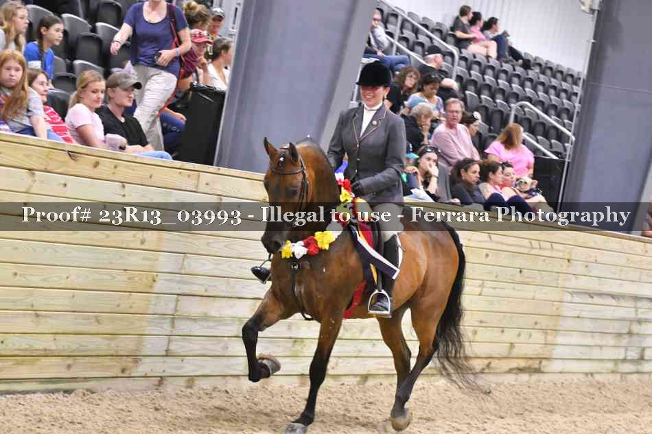 Proof 23R13_03993