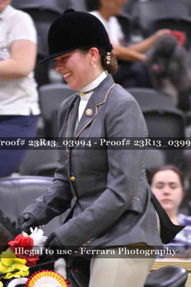 Proof 23R13_03994