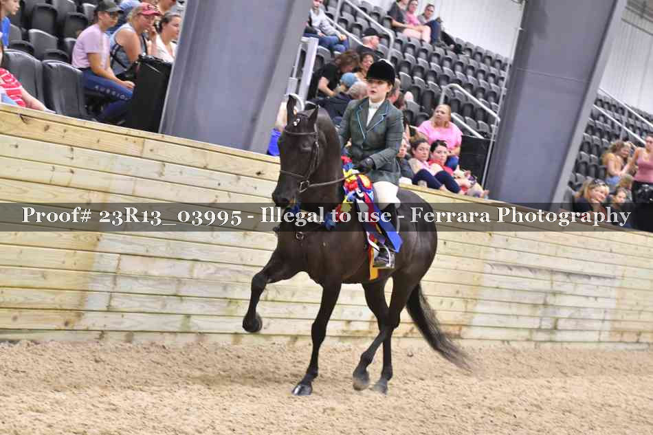 Proof 23R13_03995