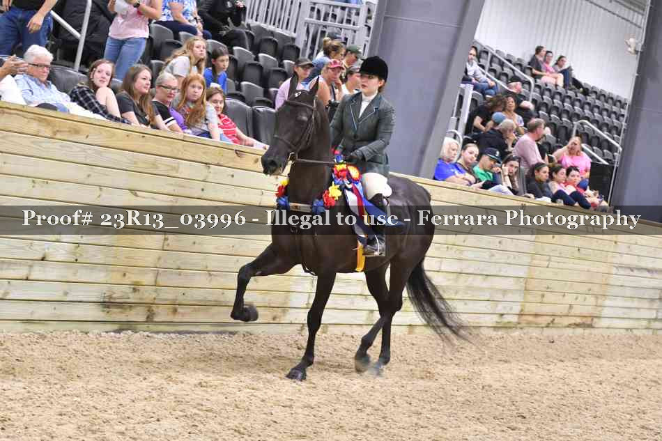 Proof 23R13_03996