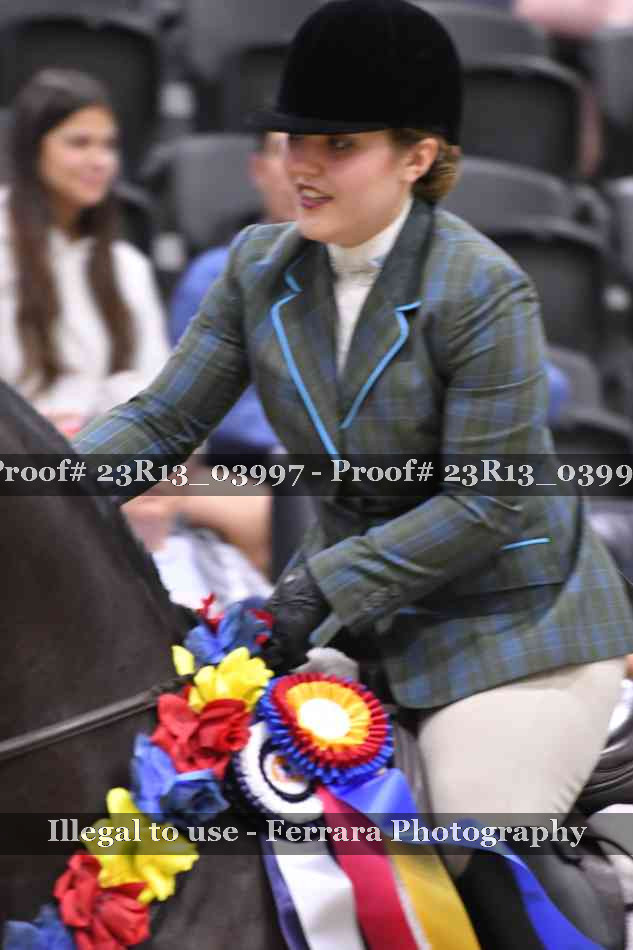 Proof 23R13_03997