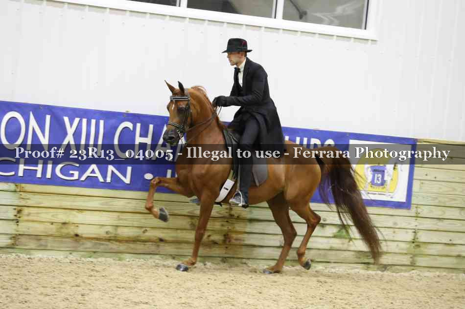 Proof 23R13_04005