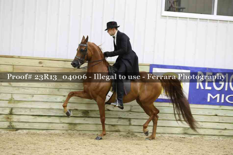 Proof 23R13_04006
