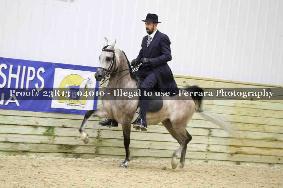 Proof 23R13_04010