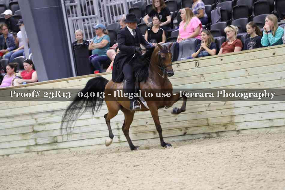 Proof 23R13_04013