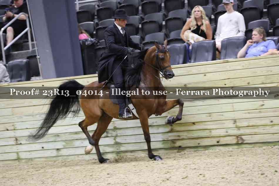 Proof 23R13_04014