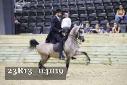 23R13_04019 proof