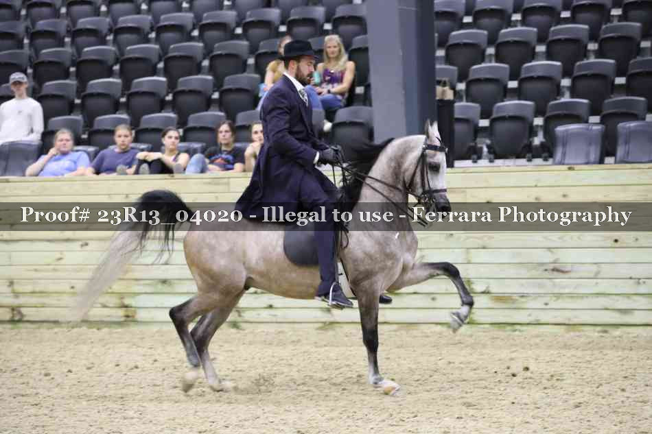 Proof 23R13_04020
