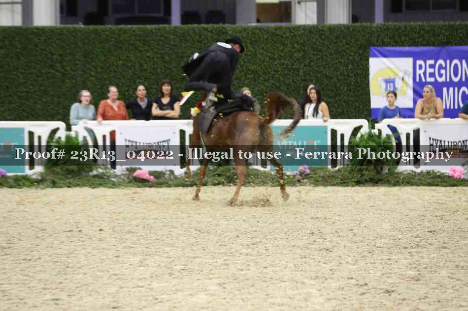 Proof 23R13_04022