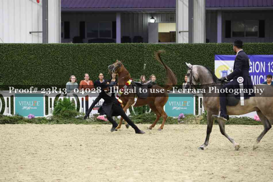 Proof 23R13_04028