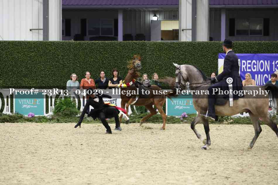 Proof 23R13_04029