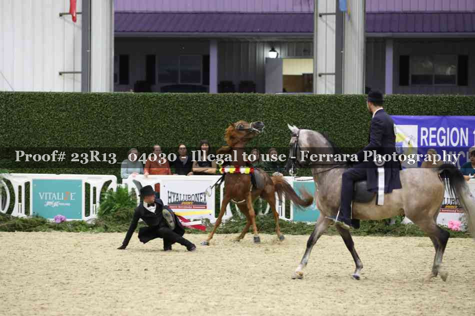 Proof 23R13_04030