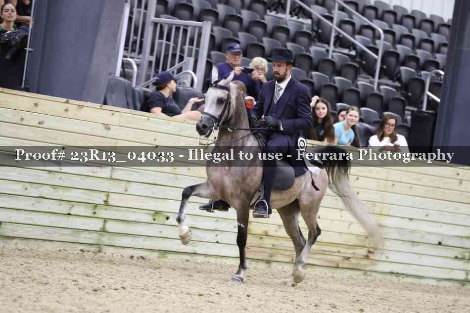 Proof 23R13_04033