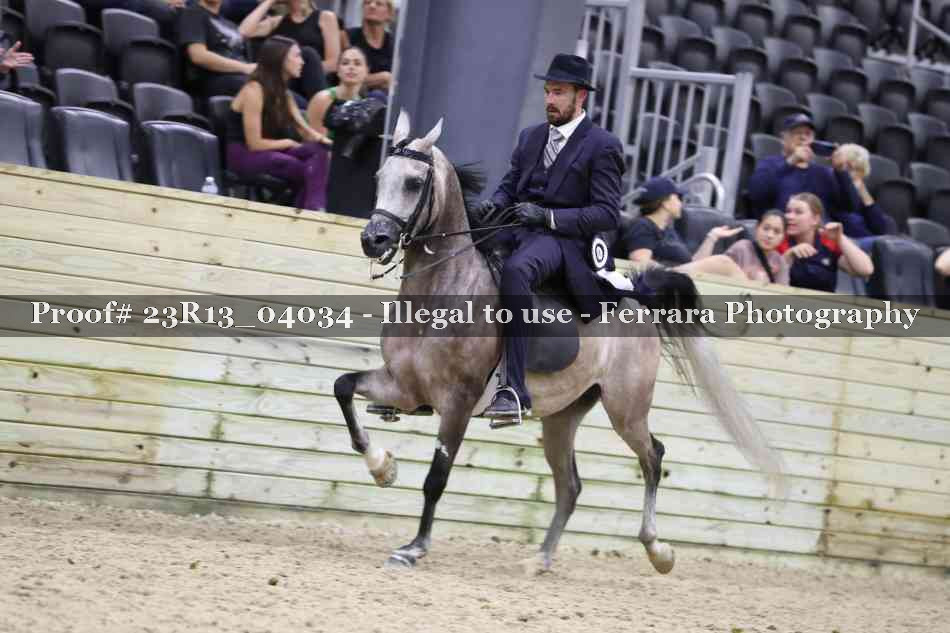 Proof 23R13_04034
