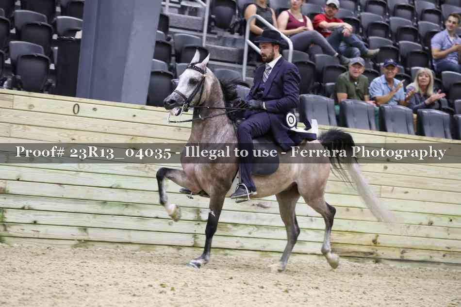 Proof 23R13_04035