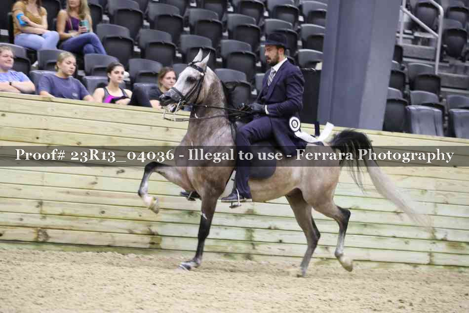 Proof 23R13_04036