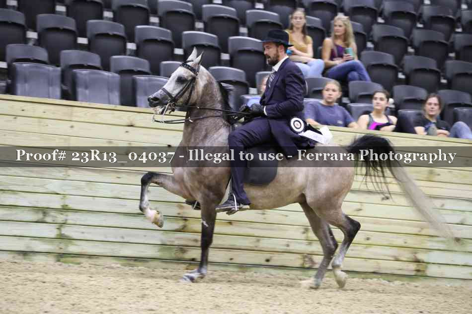 Proof 23R13_04037