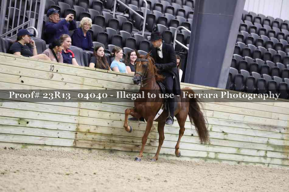 Proof 23R13_04040