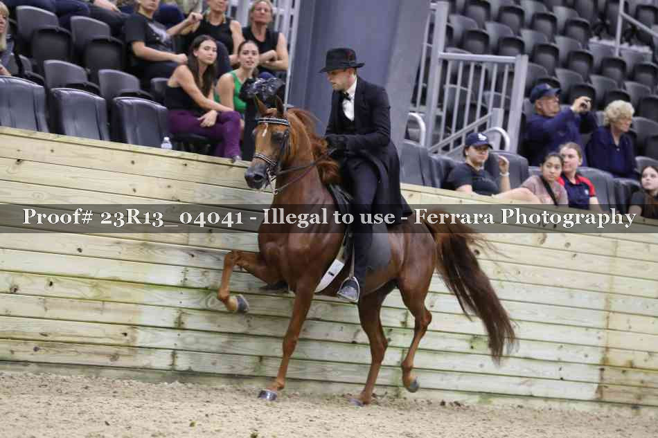 Proof 23R13_04041