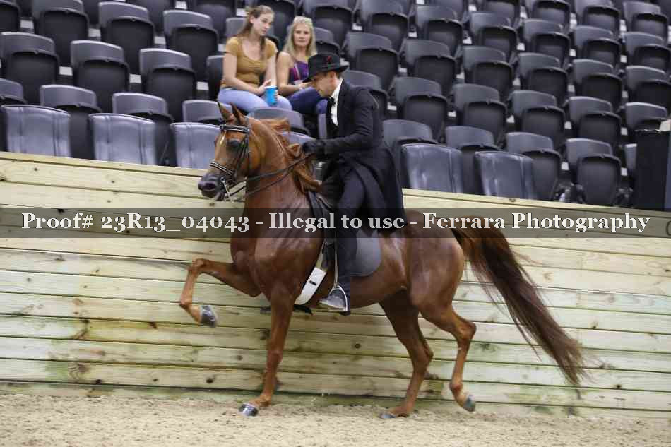 Proof 23R13_04043