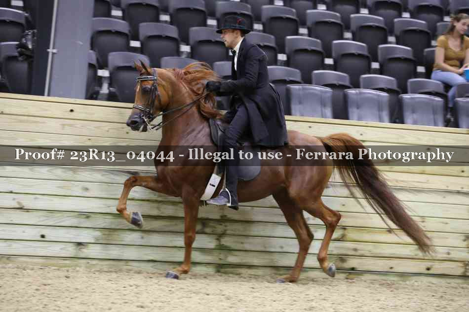 Proof 23R13_04044