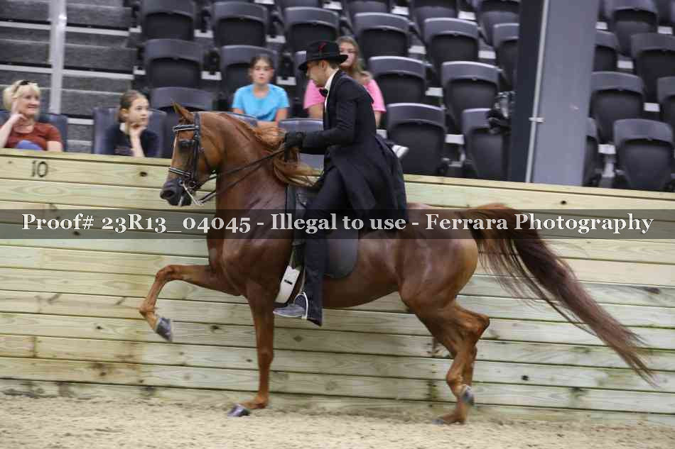 Proof 23R13_04045