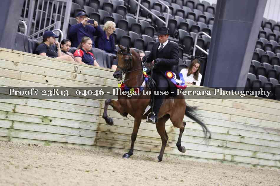 Proof 23R13_04046