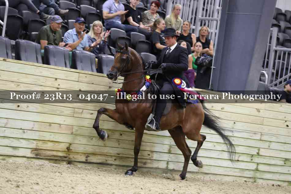 Proof 23R13_04047