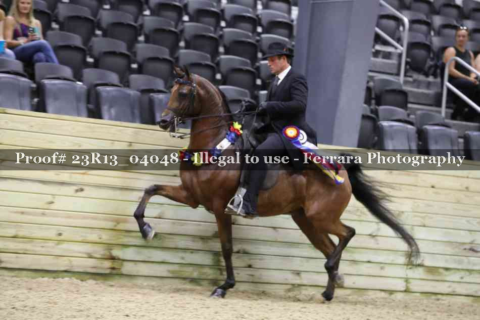 Proof 23R13_04048