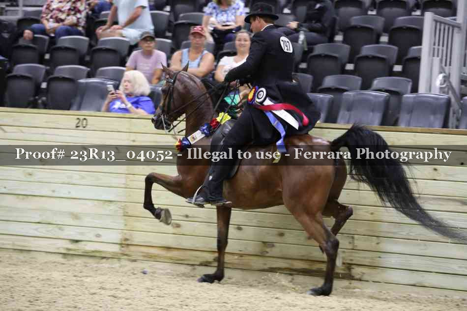 Proof 23R13_04052
