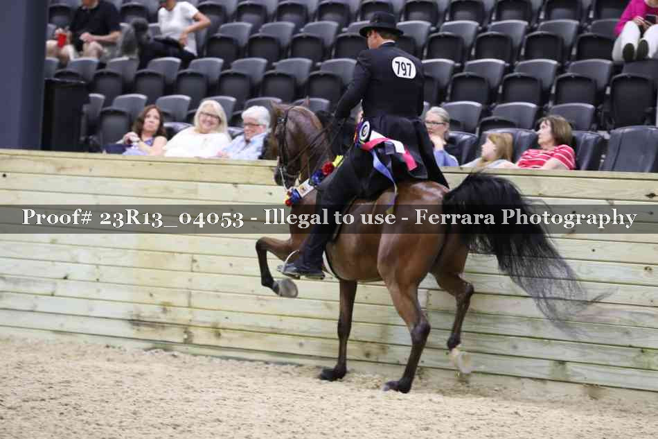Proof 23R13_04053