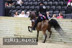 23R13_04053 proof