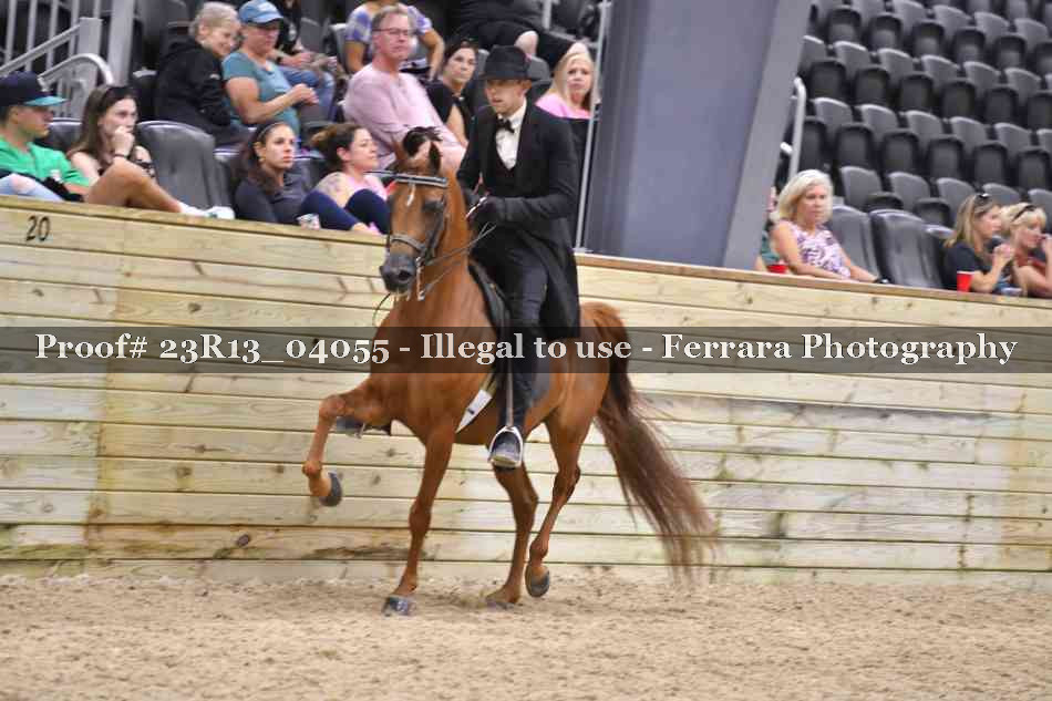 Proof 23R13_04055