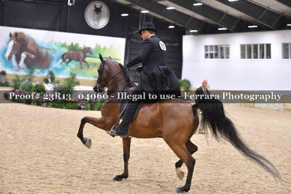 Proof 23R13_04060