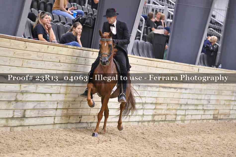 Proof 23R13_04063