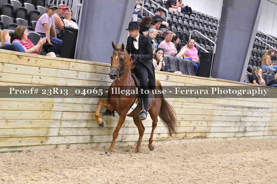 Proof 23R13_04065