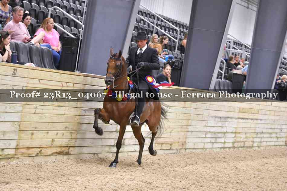Proof 23R13_04067