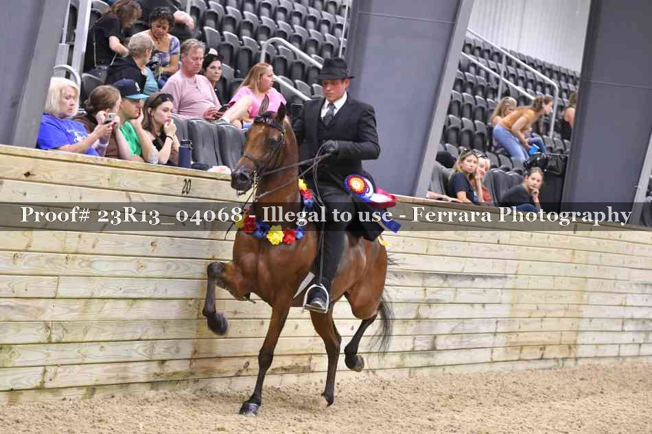Proof 23R13_04068
