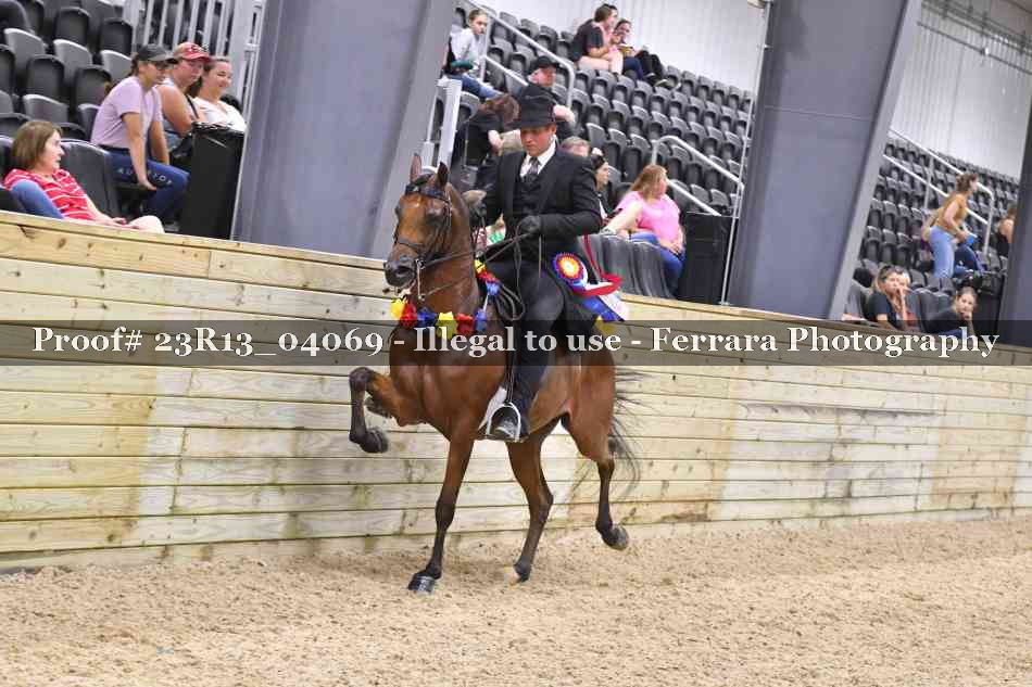 Proof 23R13_04069