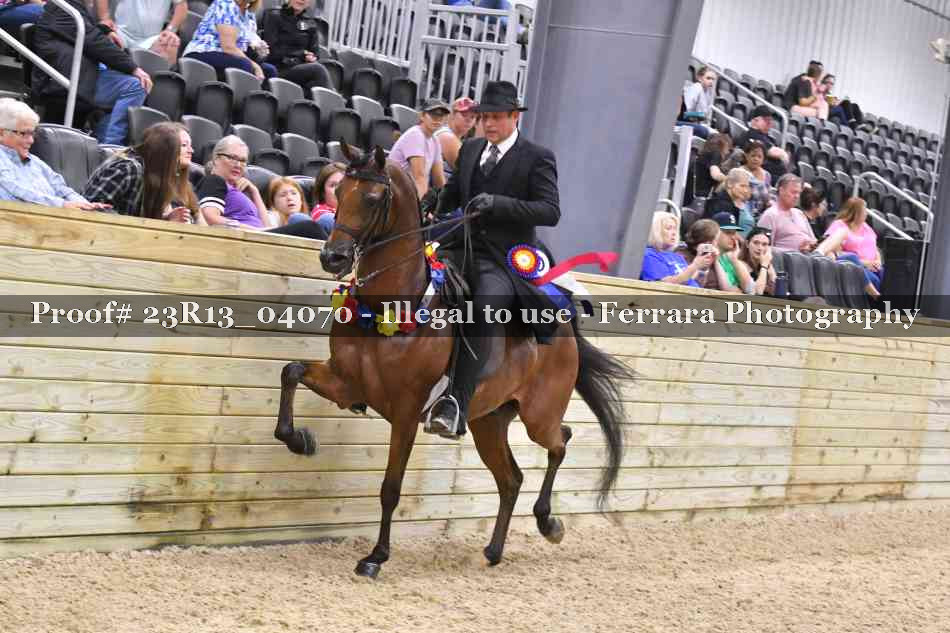 Proof 23R13_04070