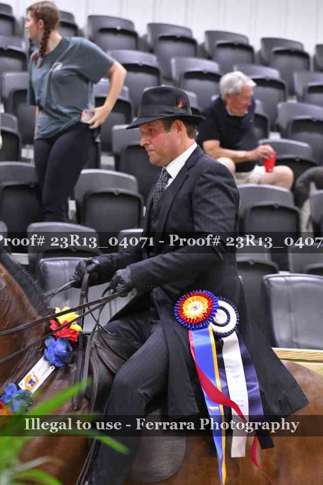 Proof 23R13_04071