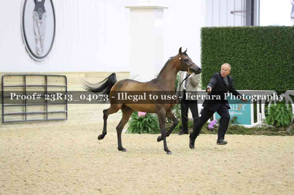Proof 23R13_04073