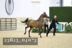 23R13_04073 proof