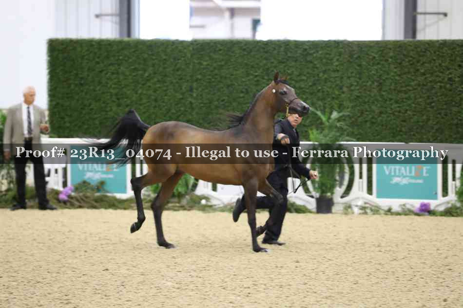 Proof 23R13_04074