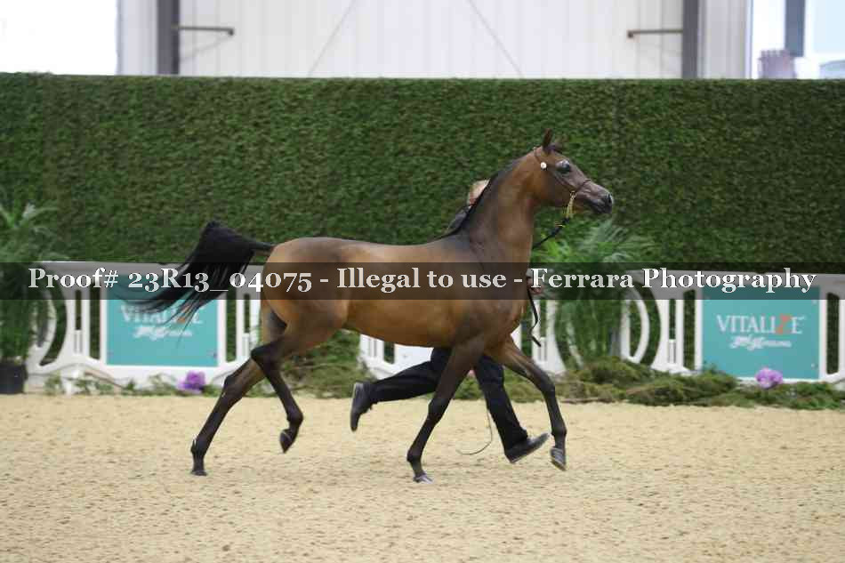 Proof 23R13_04075