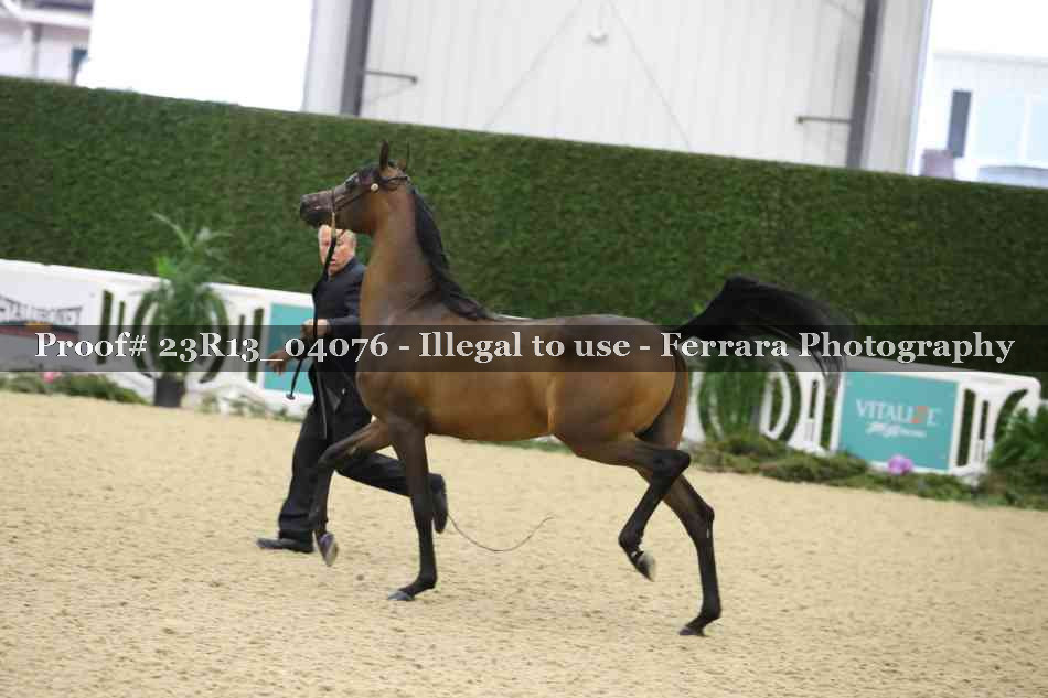 Proof 23R13_04076