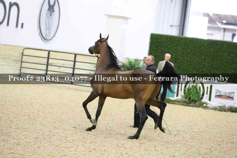 Proof 23R13_04077