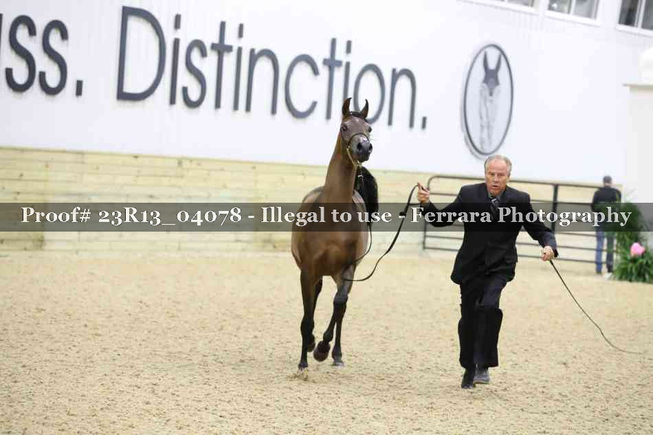 Proof 23R13_04078
