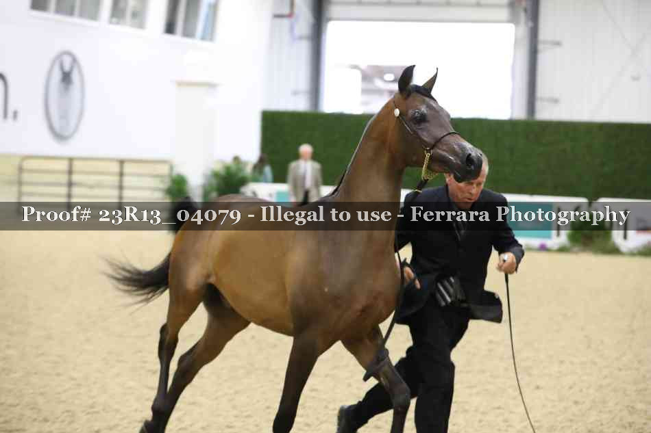 Proof 23R13_04079