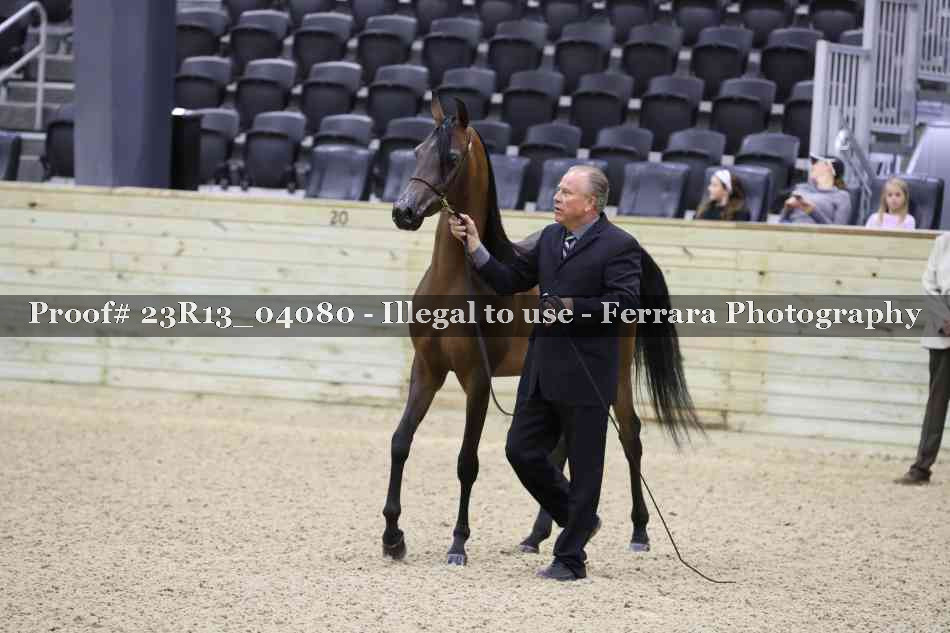 Proof 23R13_04080
